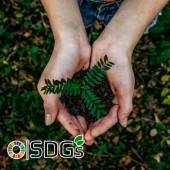 “Midori no hi”: Ngày Xanh và ý thức về thiên nhiên của người Nhật